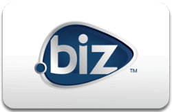 biz domenų registracija